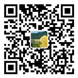 彩神VI首页
